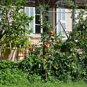 Bed & Breakfast Les Passiflores, Grasse